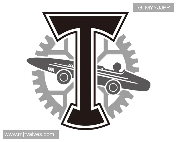 俄罗斯LFL联赛莫斯科鱼雷队精彩对决即将开启全新篇章